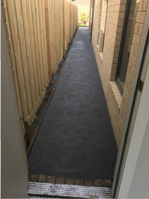 Plain and Colored images