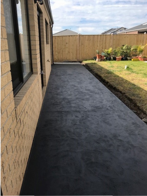 Plain and Colored images