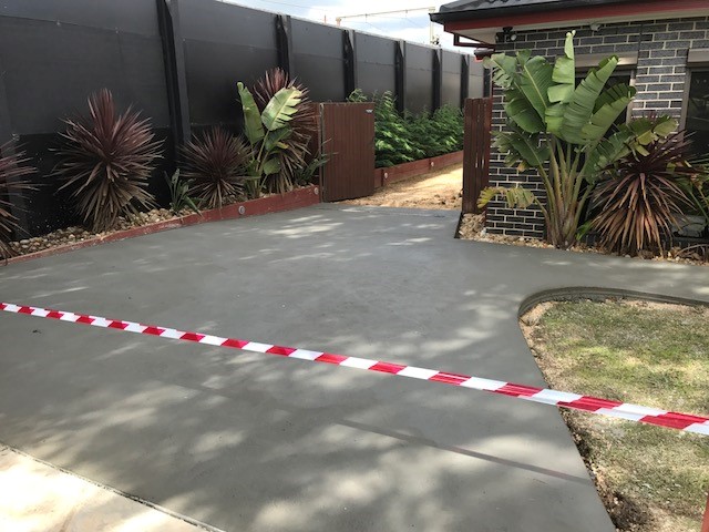 Plain and Colored images